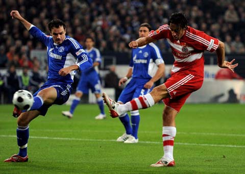 证了玻利维 证了玻利维