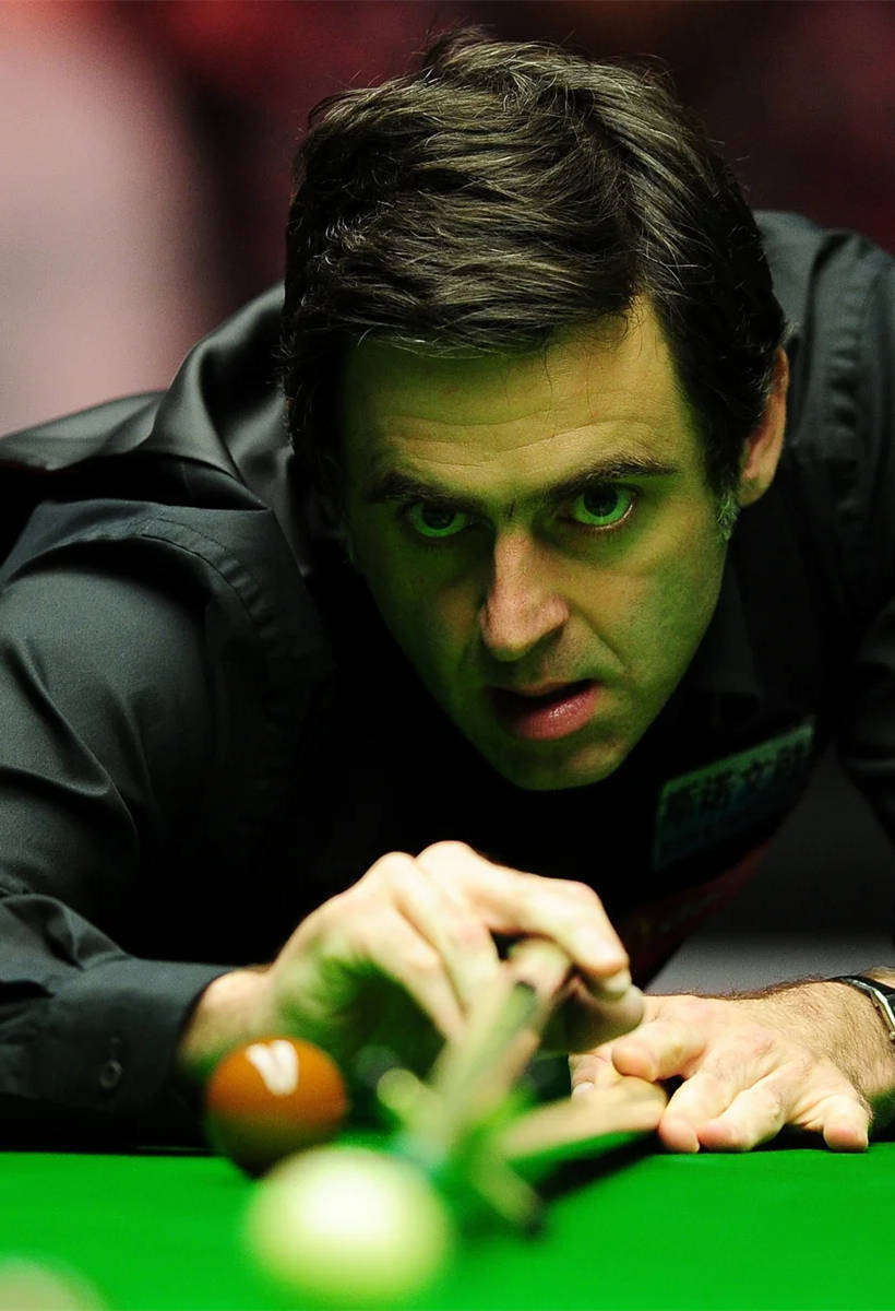 寻找他们自 寻找他们自