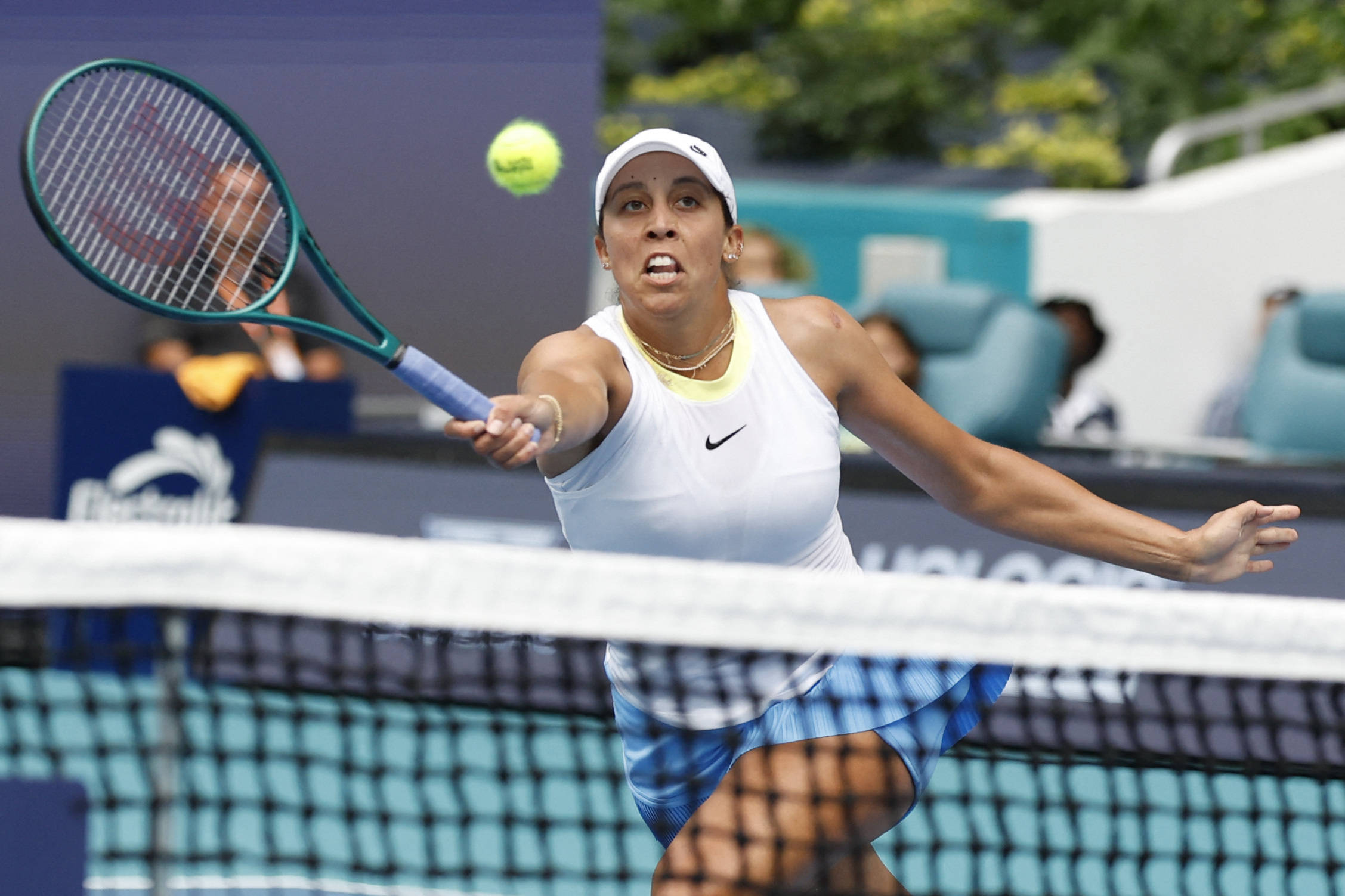 他们不仅在 他们不仅在